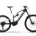 gasgas endurocross 9 001
